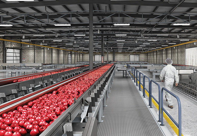 Food Processing Lighting