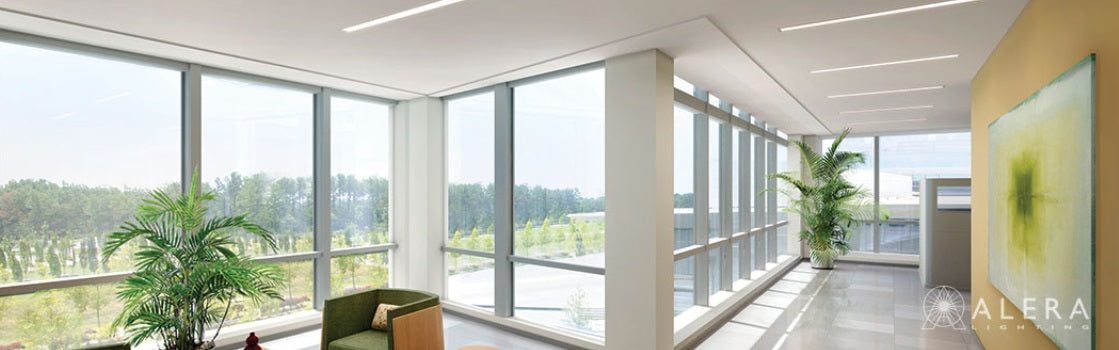 Introducing: Alera Lighting