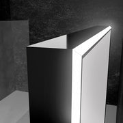 Paris Mirror Opera 60" x 28" LED Lighted Mirror, CCT Selectable