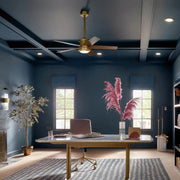 Kichler 300048 Brahm 48" Ceiling Fan with LED Light Kit