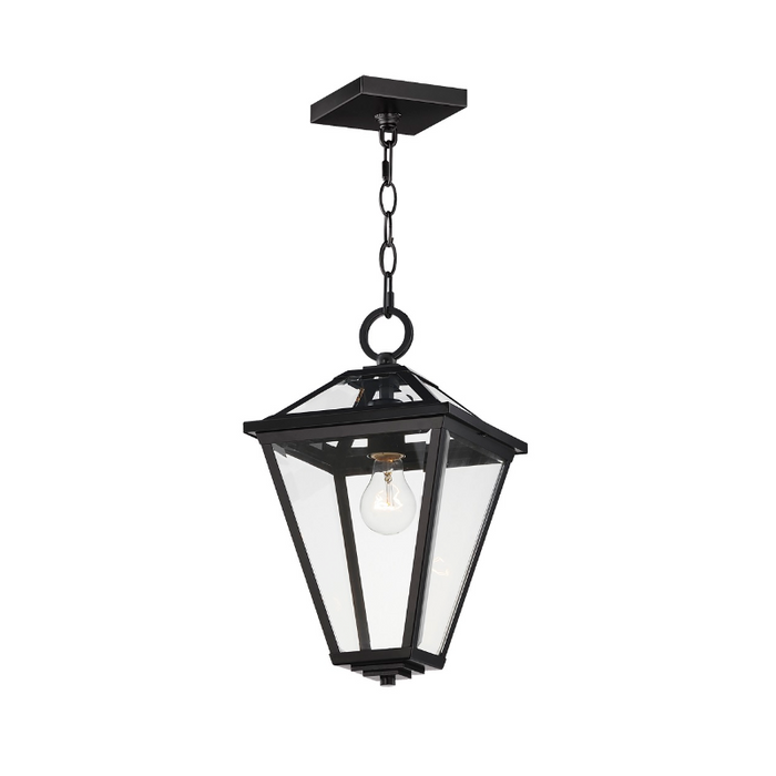 Maxim 30569 Prism 1-lt 9" Outdoor Pendant