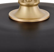 Hinkley 48167 Sadie 1-lt 18" LED Chandelier - Lacquered Brass with Black accents