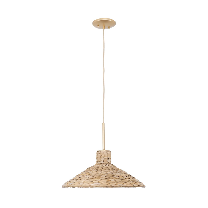 Varaluz 502P01 Hilton Head 1-lt 18" Pendant
