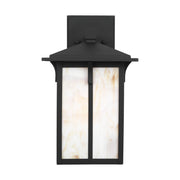 Generation 8652701 Tomek 1-lt 14" Tall Outdoor Wall Lantern - Black/Champagne