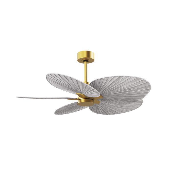 Matthews Fan Atlas Alessandra Tropical 48" Indoor/Outdoor Ceiling Fan - Brushed Brass/Barn Wood
