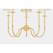 Hudson Valley 6927 Amina 5-lt 27" Chandelier