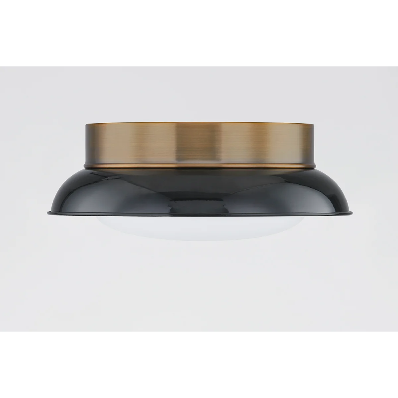 Troy C2014 Arnie 2-lt 14" Flush Mount