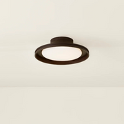 Troy C3115 Cannes 1-lt 15" LED Outdoor Flush Mount
