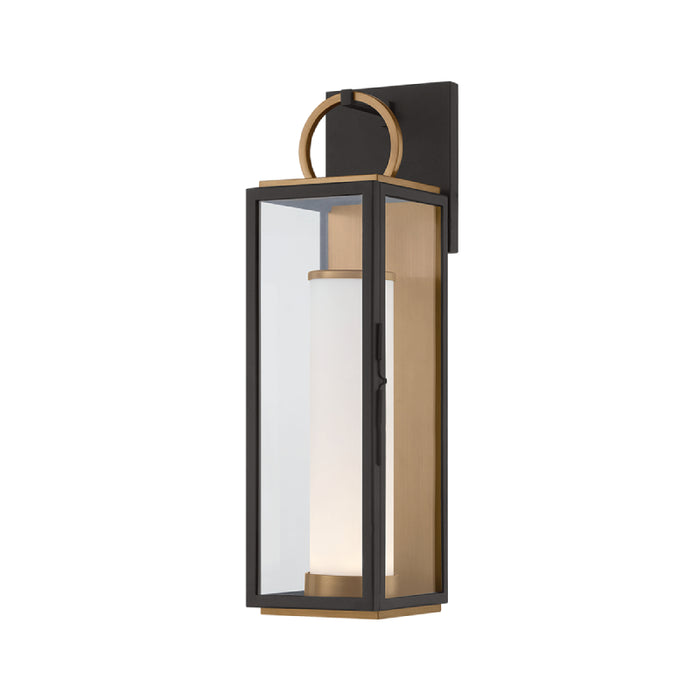 Troy B6718 Gareth 1-lt 18" Tall LED Outdoor Wall Sconce