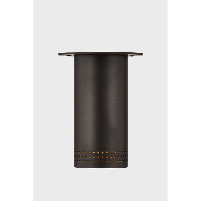 Troy C1505 Berg 1-lt 5" Flush Mount