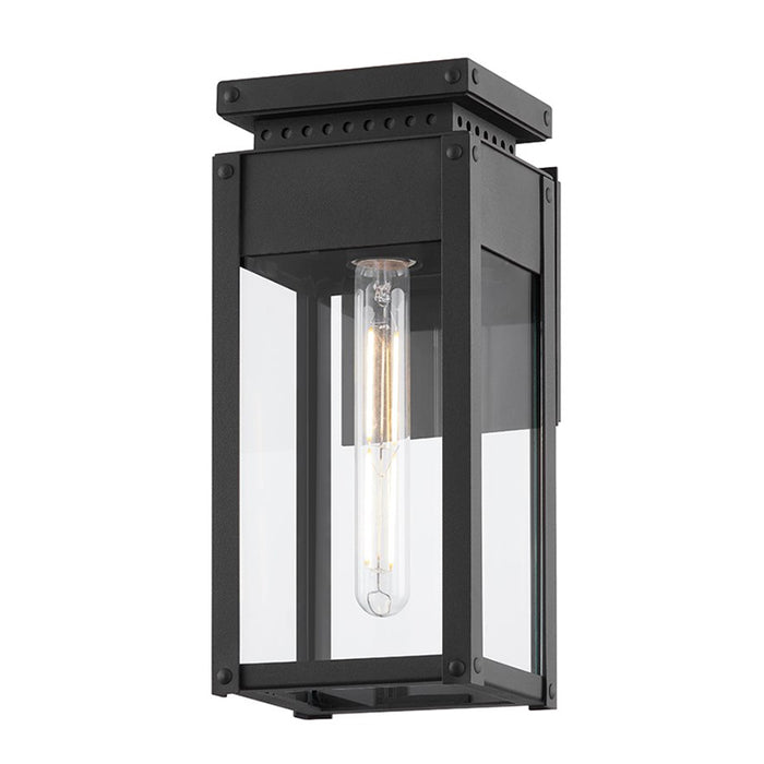 Troy B8513 Braydan 1-lt 13" Tall Outdoor Wall Sconce