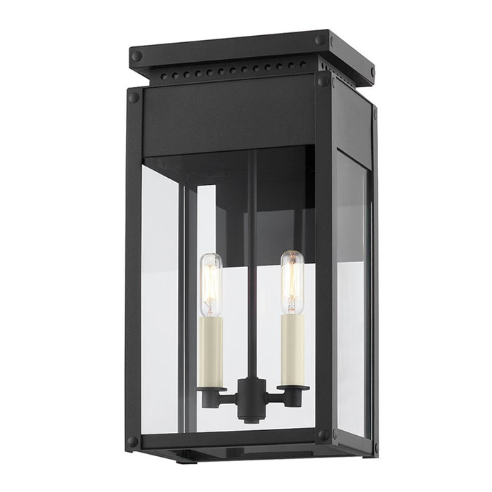 Troy B8517 Braydan 2-lt 17" Tall Outdoor Wall Sconce