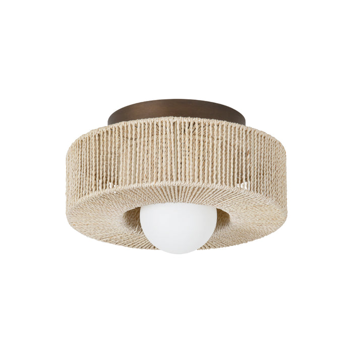 Troy C1104 Coleman 1-lt 14" Flush Mount