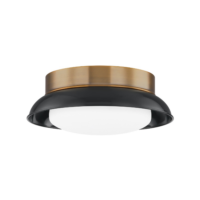 Troy C2014 Arnie 2-lt 14" Flush Mount - Patina Brass/Black