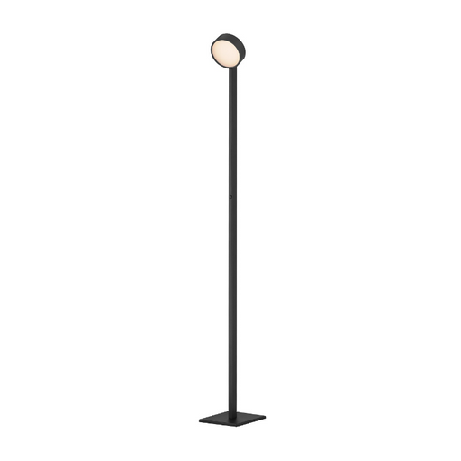 ET2 E30529 Embrace 1-lt 65" Tall LED Floor Lamp