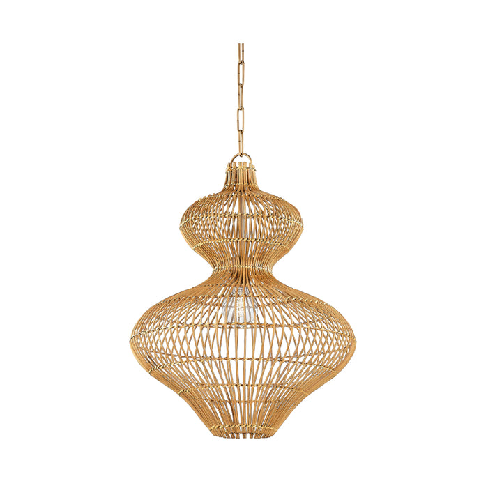 Troy F3820 Irvine 1-lt 20" Pendant