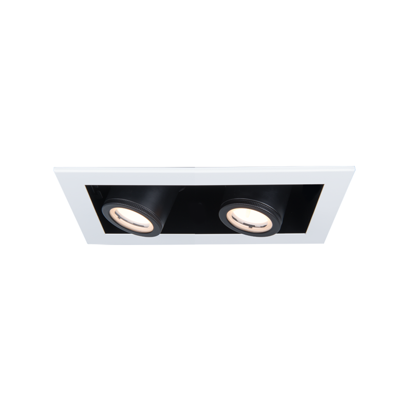 WAC MT-4210T Silo Multiples 2 Light IC Airtight Housing with Light Engine and Trim - White/Black