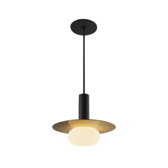Koncept CMP-S1-S-06 Combi LED Pendant, Metal Plate with Frosted Glass Ball