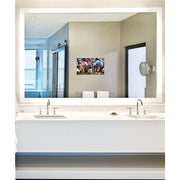 Electric Mirror Silhouette 66" x 42" Lighted Mirror TV with 21" TV