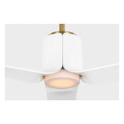 Visual Comfort 3PESM66 Peel Smart 66" Ceiling Fan with LED Light Kit - Burnished Brass