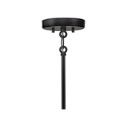Hinkley 23012 Catalina 1-lt 8" LED Hanging Lantern - Black with Burnished Bronze accents