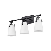 Hinkley 5133 Foster 3-lt 23" LED Vanity - Black