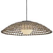 Hinkley 10395 Arlen 1-lt 30" LED Chandelier
