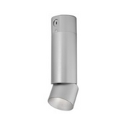 Element ENCY3R ENTRA 3" 19W Adjustable LED Cylinder, Conduit Mount - Brushed Aluminum