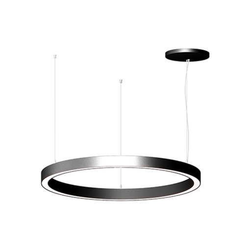 Elite LOOP-RD-DI-LED-2 Architectural LED Round Pendant, Direct/Indirect Light