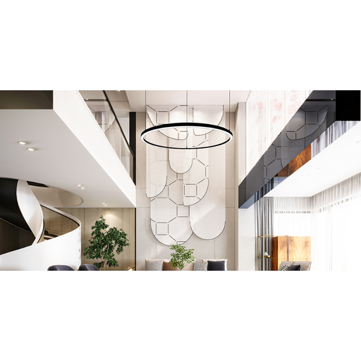 Elite LOOP-RD-DI-LED-2 Architectural LED Round Pendant, Direct/Indirect Light