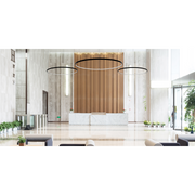 Elite LOOP-RD-IN-LED Architectural LED Round Pendant, Inner Light