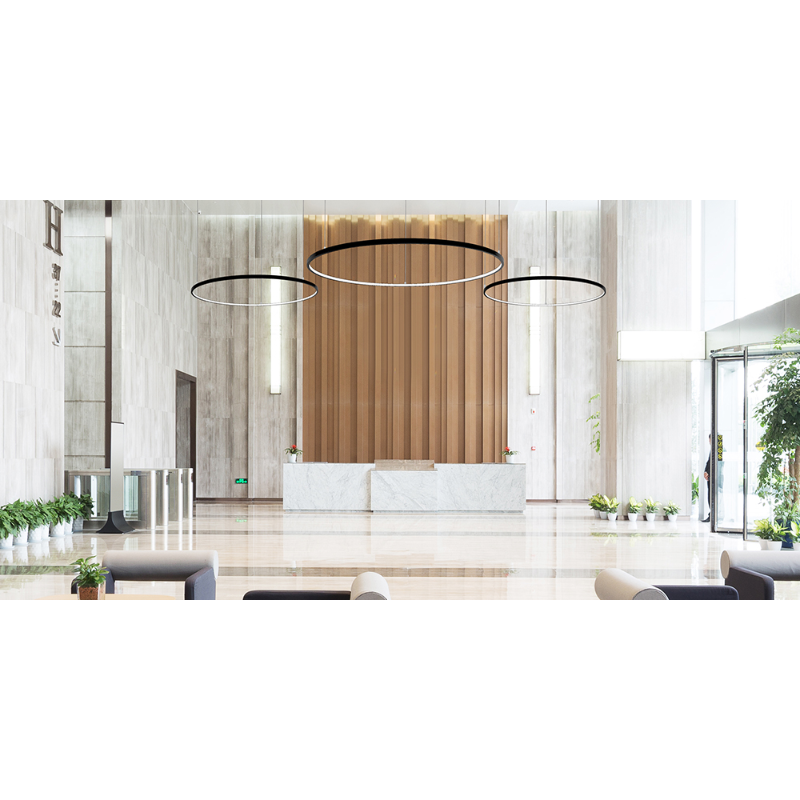 Elite LOOP-RD-IN-LED Architectural LED Round Pendant, Inner Light