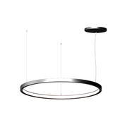 Elite LOOP-RD-IN-LED Architectural LED Round Pendant, Inner Light