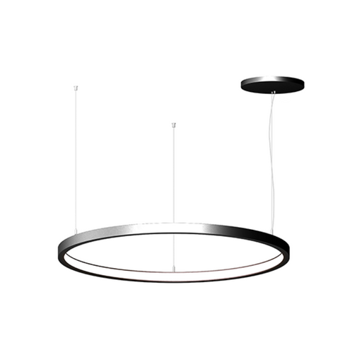 Elite LOOP-RD-IN-LED Architectural LED Round Pendant, Inner Light
