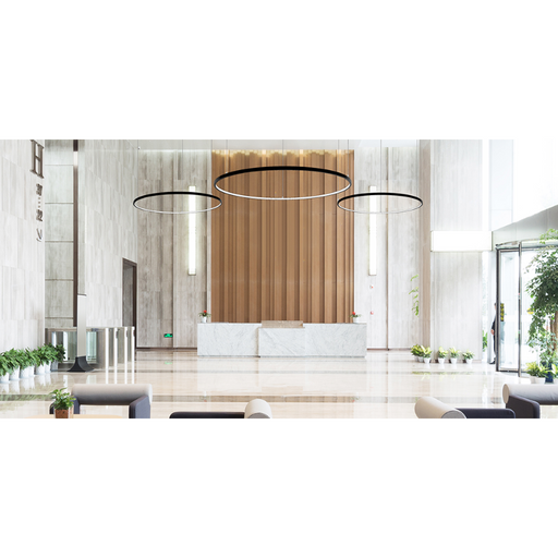 Elite LOOP-RD-IN-LED Architectural LED Round Pendant, Inner Light
