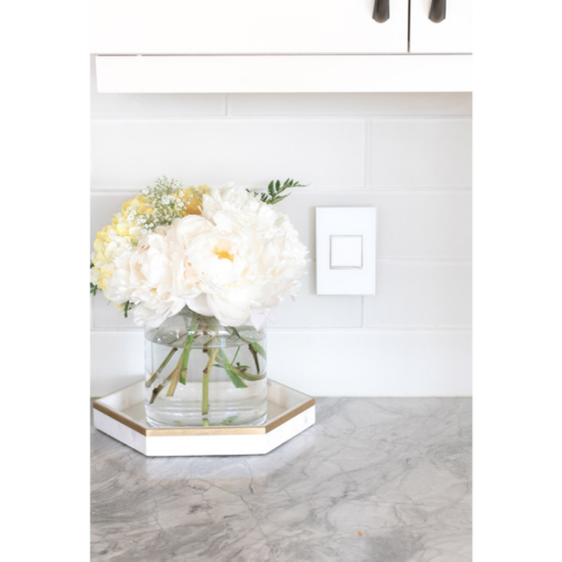Adorne AWM Screwless Wall Plate, Mirror White