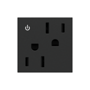 Adorne ARCD152 15A Tamper-Resistant Dual-Controlled Outlet, 125V - Graphite