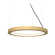 Accord 1415LED Frame 1-lt 16" LED Pendant-Organic Gold