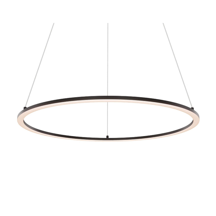Dals RGPD24-CC Circa 1-lt 24" LED Pendant, 5CCT Selectable