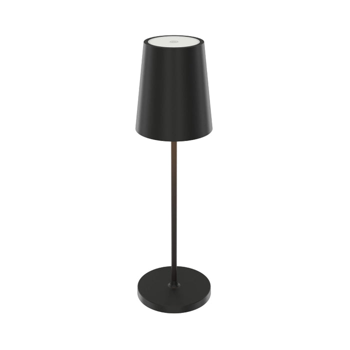 Dals RTL-3C Glam 14" Tall Outdoor Rechargeable Table Lamp