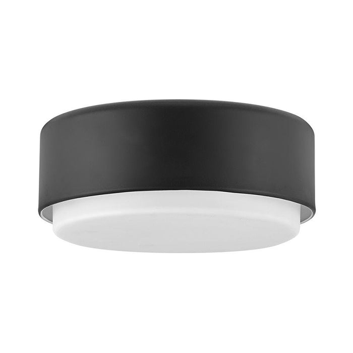 Hinkely 30073 Cedric 2-lt 12" LED Flush Mount