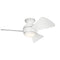 Kichler 330150 Sola 34" Outdoor Ceiling Fan with LED Light Kit