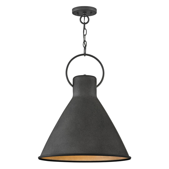 Hinkley 3555 Winnie Medium 1-lt 18" LED Pendant