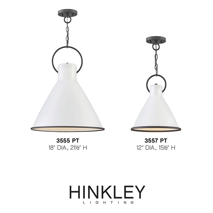Hinkley 3555 Winnie Medium 1-lt 18" LED Pendant