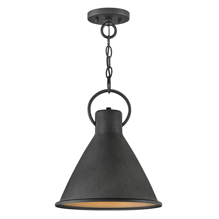 Hinkley 3557 Winnie Small 1-lt 12" LED Pendant