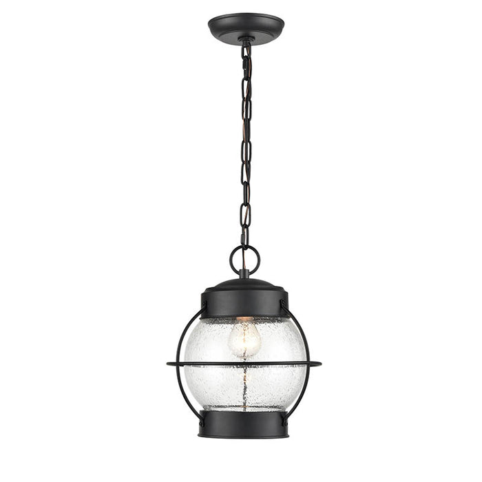 Millennium 4172 Aremelo 1-lt 10" Outdoor Pendant
