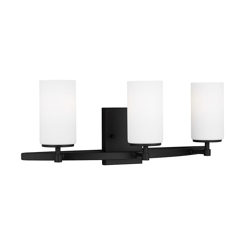 Generation 4424603 Alturas 3-lt 22" Bath Light