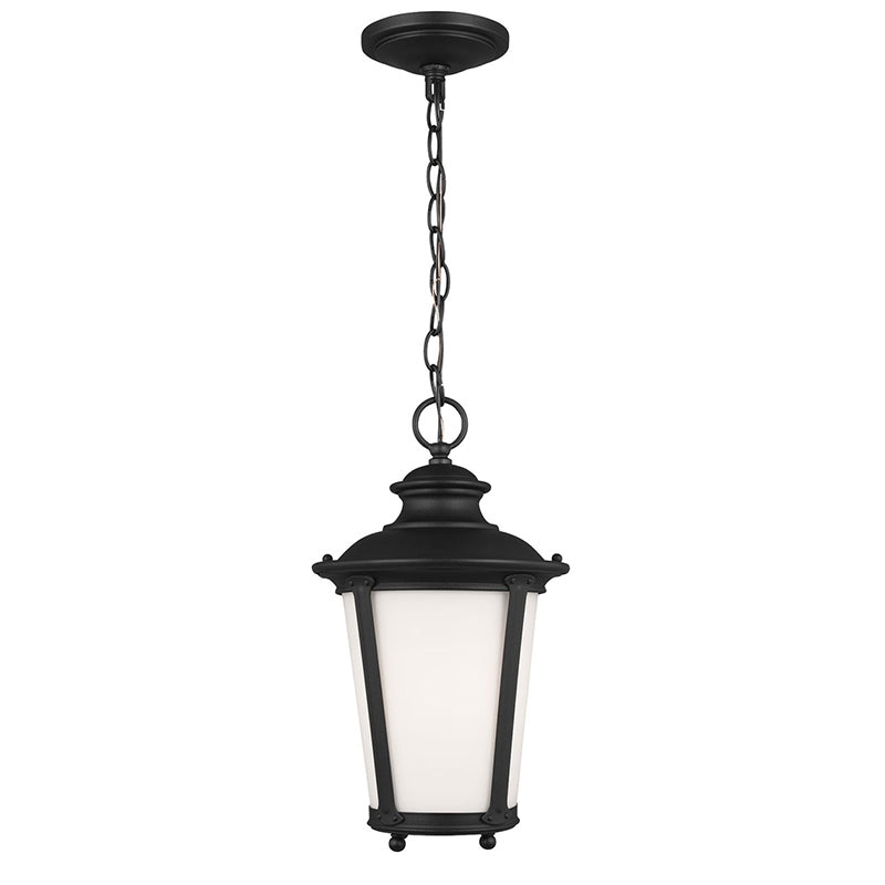 Generation 62240EN3 Cape May 1-lt 9" LED Outdoor Pendant