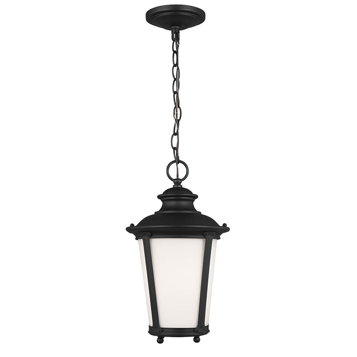 Generation 62240EN3 Cape May 1-lt 9" LED Outdoor Pendant
