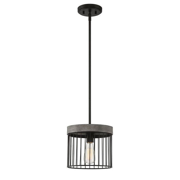 Designers Fountain D226M Aster 1-lt 10" Pendant